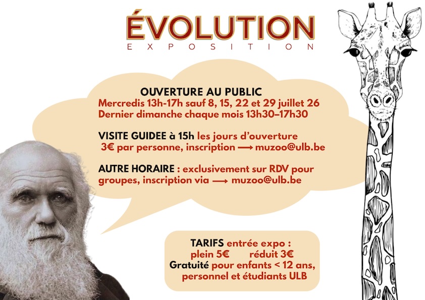 ExpoEvolution mercredis 13h–17h et dernier dimanche du mois. Visiteguidée 15h00-3€pp_web